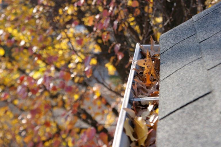 GUTTER MAGICIAN OFFERS GUTTER COVERS THAT REALLY WORK